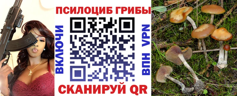 Псилоцибиновые грибы Psilocybe  Урень 